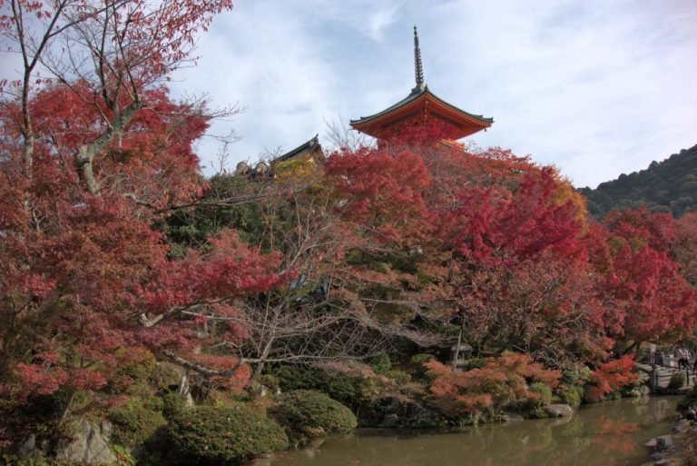 Viaje a Japón