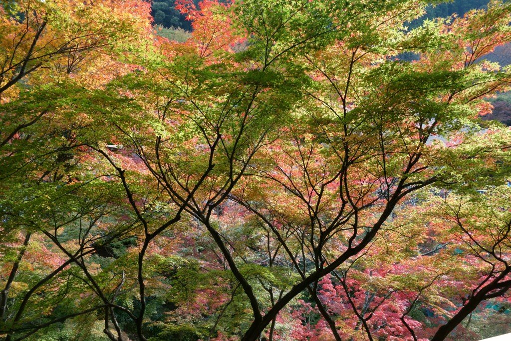 Viajar a Japón