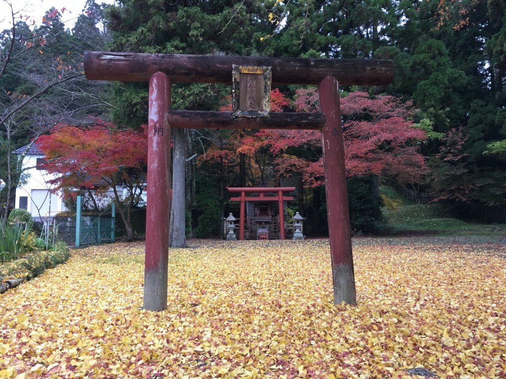 Viaje a Japón