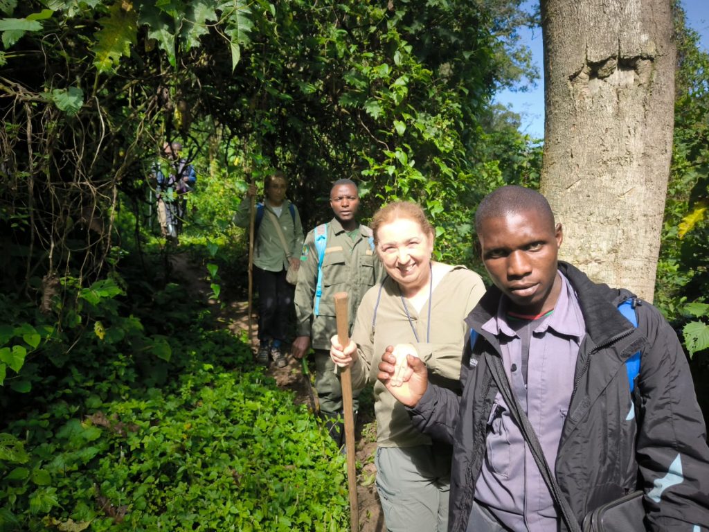 Caminata en el bosque de Bwindi, Uganda, durante la búsqueda de gorilas