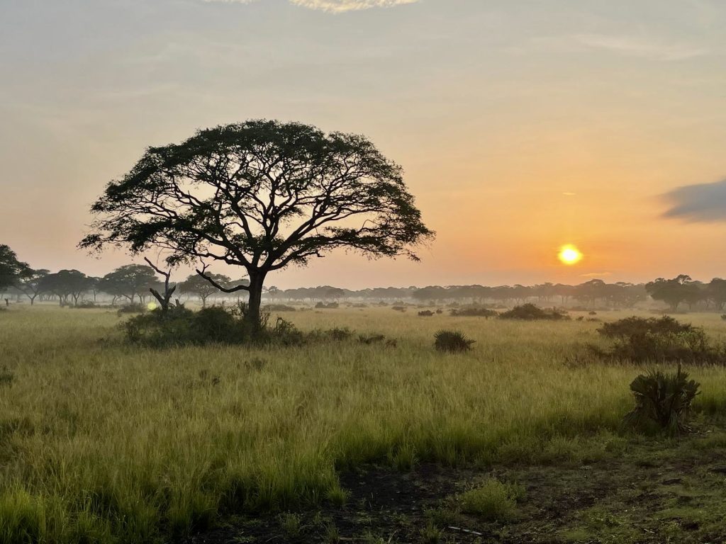 Amanecer en la sabana del Parque Nacional Murchison Falls, Uganda