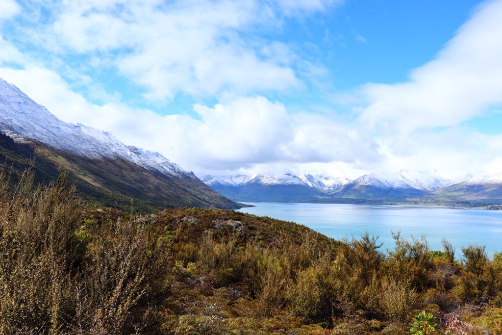Paisaje Sur NZ