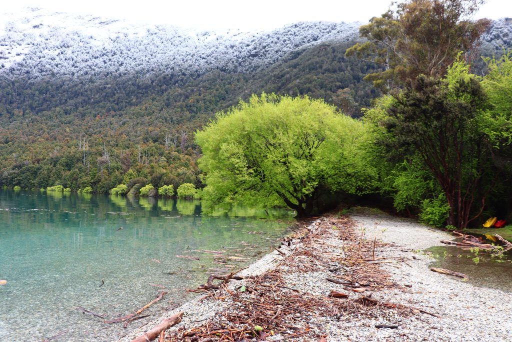 Bobs Cove Track